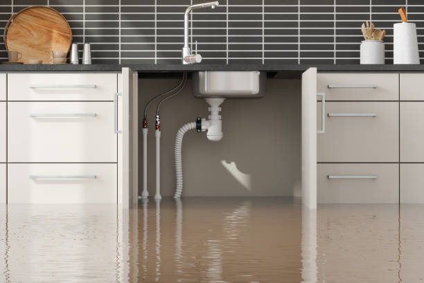 Best Fire Damage Restoration  in South Charleston, WV